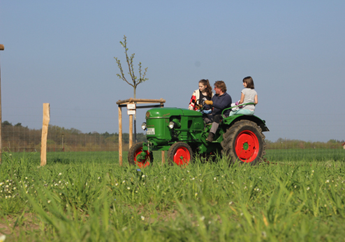 <p>Planen in der Landschaft, Natur und Menschen</p>